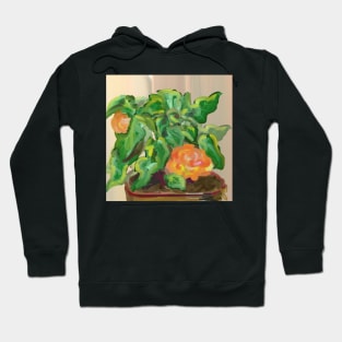 Begonia Hoodie